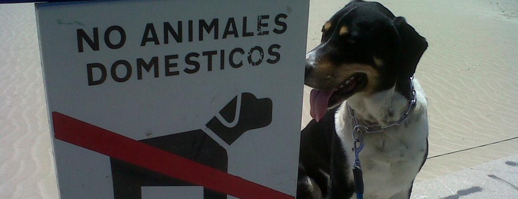 Cartel prohibido animales domésticos