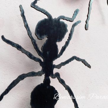 Las hormigas de Benicàssim, las hormigas de Capi