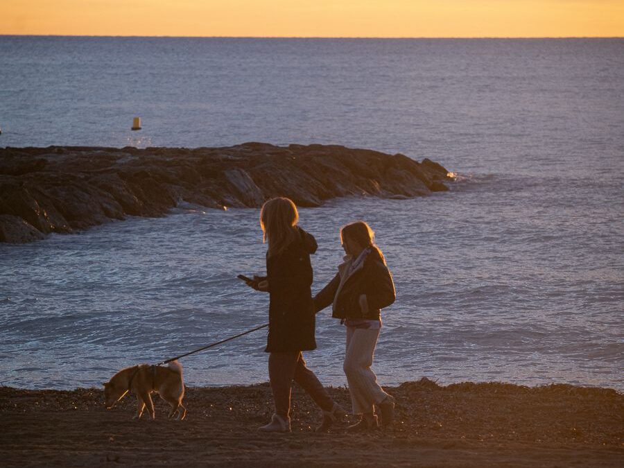 Benicàssim permite el acceso de los perros a las playas tras la temporada estival 