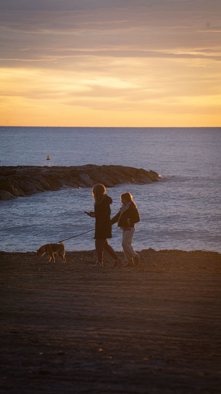 Benicàssim permite el acceso de los perros a las playas tras la temporada estival